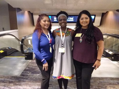 Lupus-Group-Leaders-Workshop-USA-2019-new-36