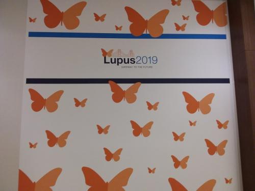 Lupus-Group-Leaders-Workshop-USA-2019-new-8